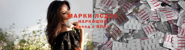 стаф Армянск